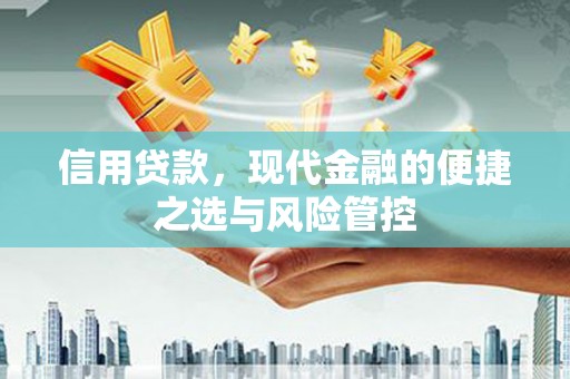 且末信用贷款，现代金融的便捷之选与风险管控
