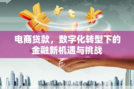 荥阳电商贷款，数字化转型下的金融新机遇与挑战
