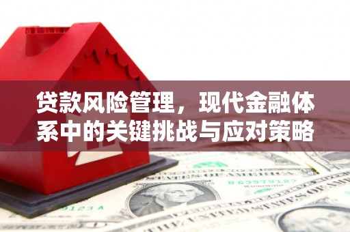 石屏贷款风险管理，现代金融体系中的关键挑战与应对策略