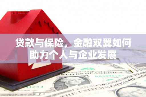 田林贷款与保险，金融双翼如何助力个人与企业发展