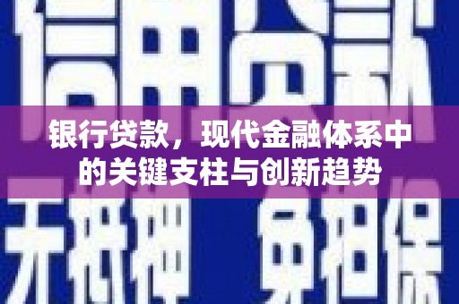 洛扎银行贷款，现代金融体系中的关键支柱与创新趋势
