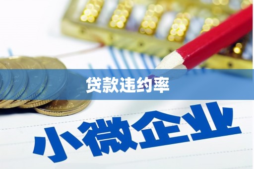 哈尔滨贷款违约率