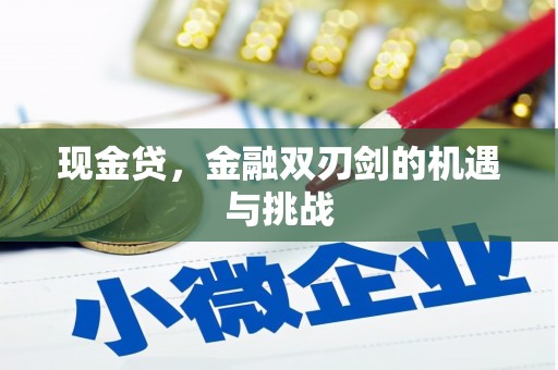 容县现金贷，金融双刃剑的机遇与挑战
