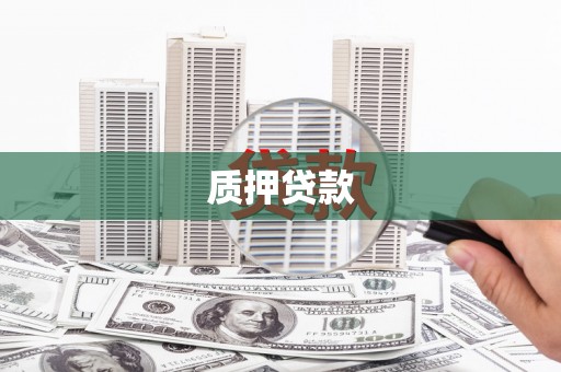 九龙城质押贷款