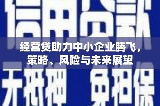 南华经营贷助力中小企业腾飞，策略、风险与未来展望