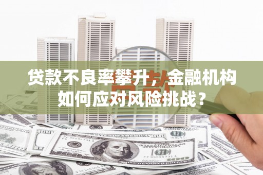 泸州贷款不良率攀升，金融机构如何应对风险挑战？