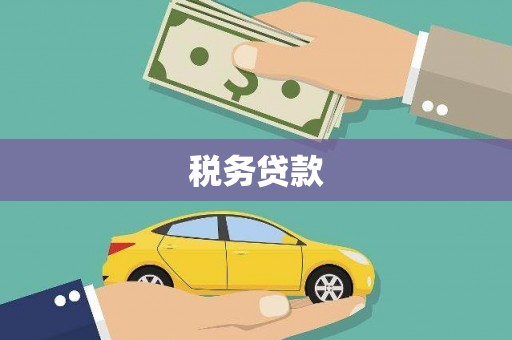 大甲税务贷款