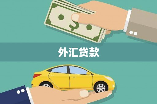 惠东外汇贷款