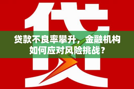 头份贷款不良率攀升，金融机构如何应对风险挑战？