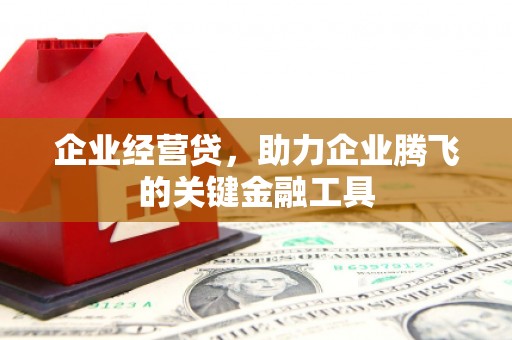 清流企业经营贷，助力企业腾飞的关键金融工具