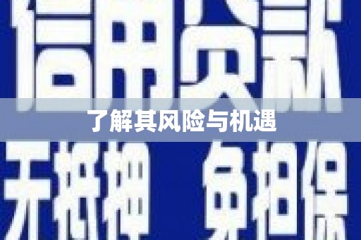 南城了解其风险与机遇