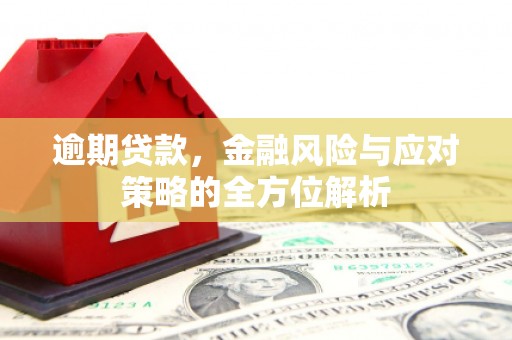 田林逾期贷款，金融风险与应对策略的全方位解析