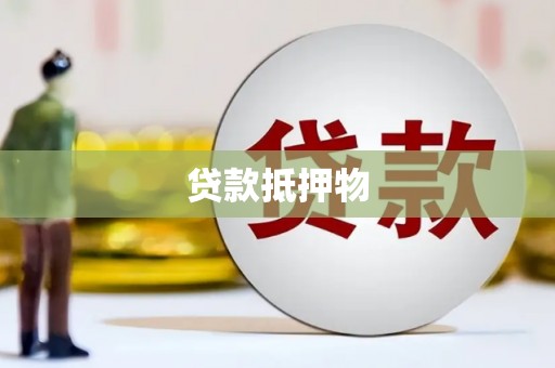 中宁贷款抵押物