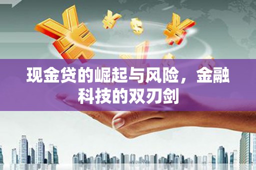 宝山现金贷的崛起与风险，金融科技的双刃剑