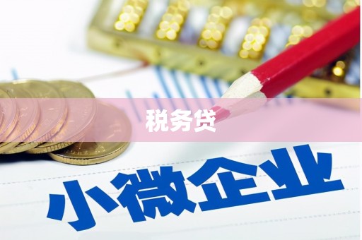 临潭税务贷