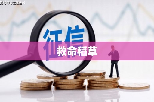 金华救命稻草