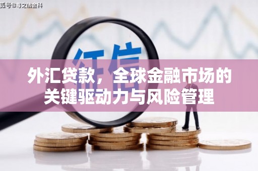 德令哈外汇贷款，全球金融市场的关键驱动力与风险管理