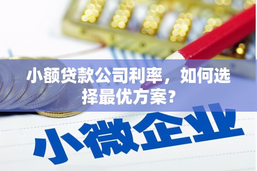 榕城小额贷款公司利率，如何选择最优方案？