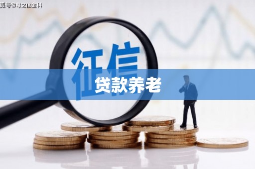 灵山贷款养老