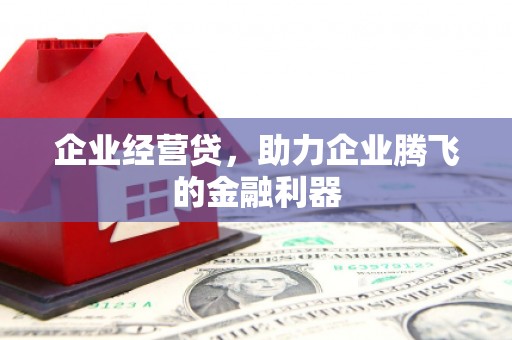 宁海企业经营贷，助力企业腾飞的金融利器