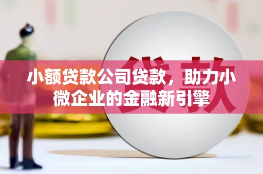 崇明小额贷款公司贷款，助力小微企业的金融新引擎