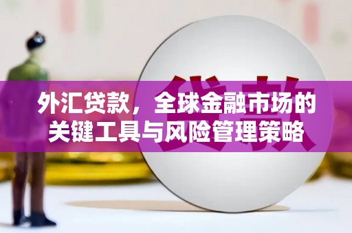 玉树外汇贷款，全球金融市场的关键工具与风险管理策略