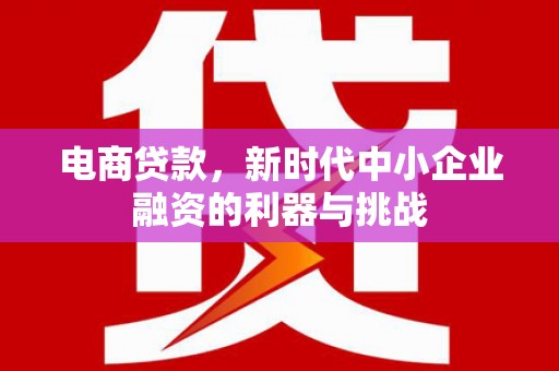 威宁电商贷款，新时代中小企业融资的利器与挑战
