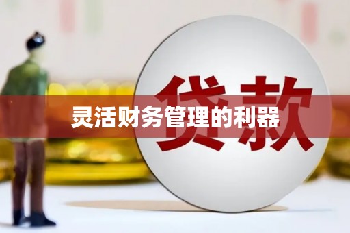 武功灵活财务管理的利器