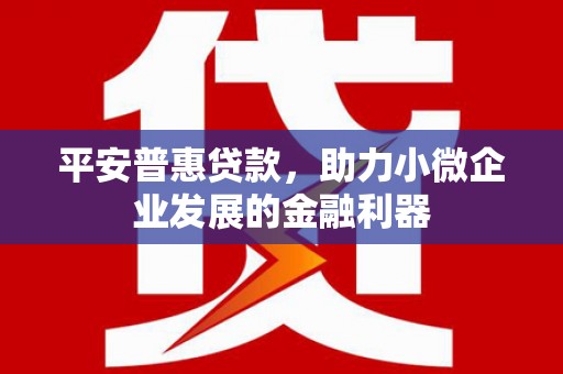 新林平安普惠贷款，助力小微企业发展的金融利器