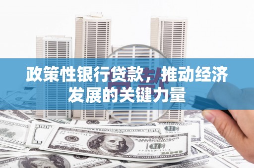 南岸政策性银行贷款，推动经济发展的关键力量