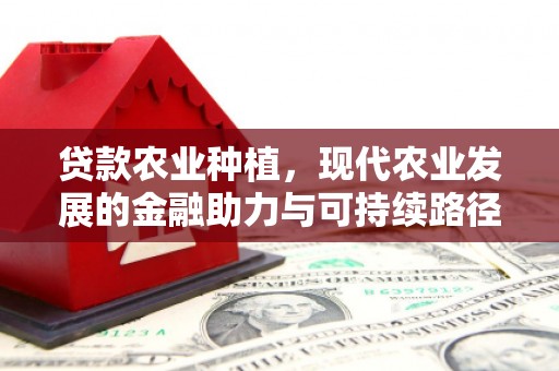 通霄贷款农业种植，现代农业发展的金融助力与可持续路径