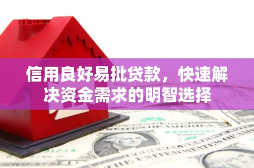 九龙信用良好易批贷款，快速解决资金需求的明智选择