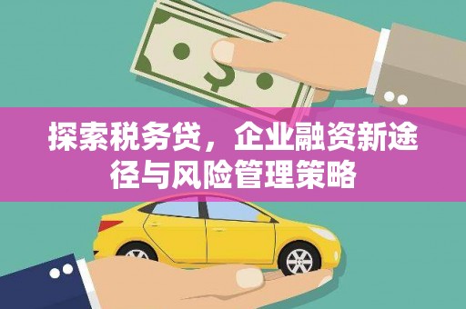 太和探索税务贷，企业融资新途径与风险管理策略