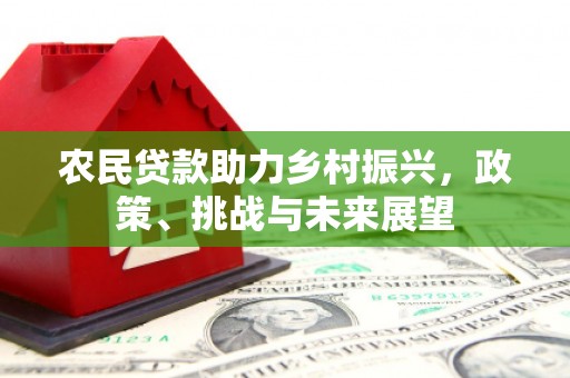 磐石农民贷款助力乡村振兴，政策、挑战与未来展望