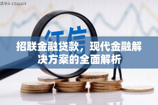 新埤招联金融贷款，现代金融解决方案的全面解析