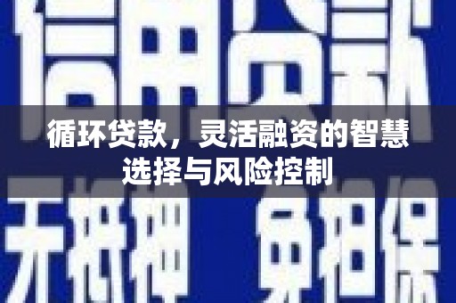 雷州循环贷款，灵活融资的智慧选择与风险控制