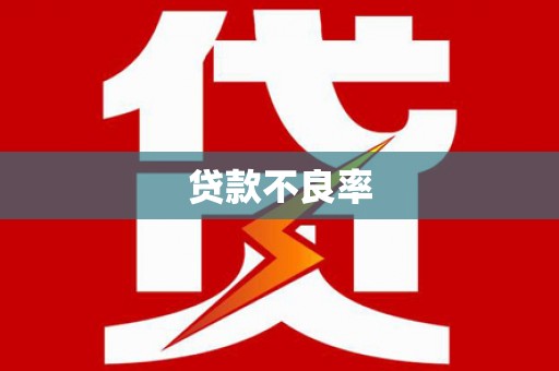 定州贷款不良率