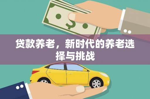 拉萨贷款养老，新时代的养老选择与挑战