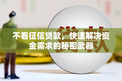 颍泉不看征信贷款，快速解决资金需求的秘密武器