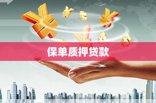 山南保单质押贷款