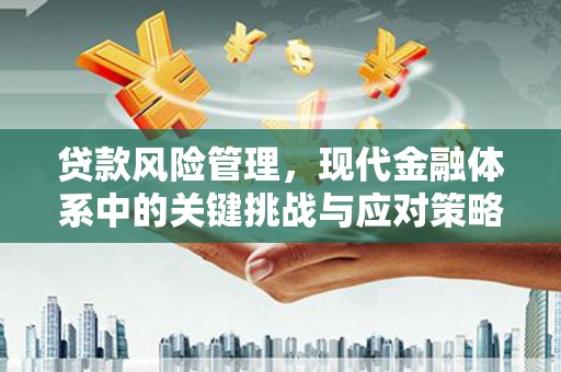 五营贷款风险管理，现代金融体系中的关键挑战与应对策略