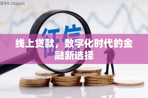 岚皋线上贷款，数字化时代的金融新选择