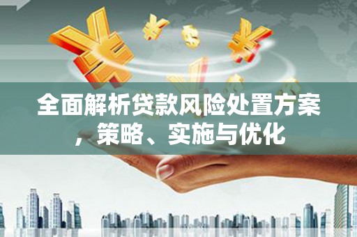 青阳全面解析贷款风险处置方案，策略、实施与优化