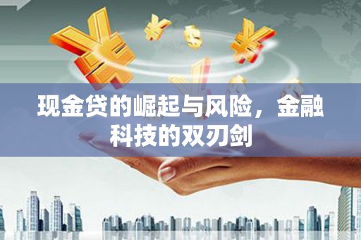 田阳现金贷的崛起与风险，金融科技的双刃剑