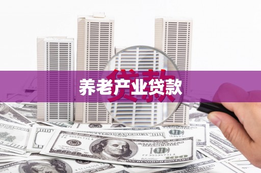 中西养老产业贷款