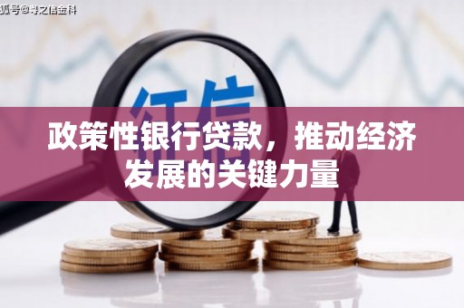新昌政策性银行贷款，推动经济发展的关键力量