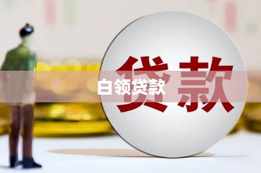 薛城白领贷款