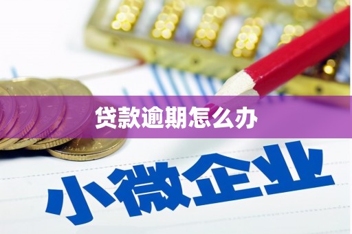 罗城贷款逾期怎么办