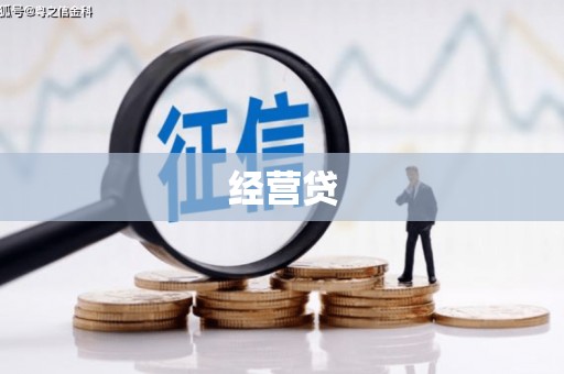 元谋经营贷