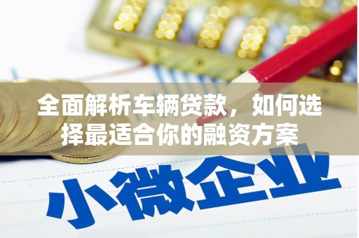 巴里坤全面解析车辆贷款，如何选择最适合你的融资方案